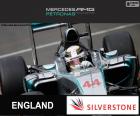 Льюис Хэмилтон празднует свою победу в 2015 году Гран-при Великобритании